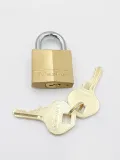 klodka-jarzmowa-na-klucz-master-lock-rodzaj-klodki-na-klucz