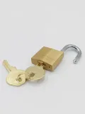klodka-jarzmowa-na-klucz-master-lock-typ-klodki-klodka-jarzmowa
