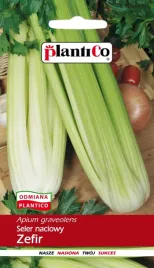 nasiona-05-g-seler-naciowy-zefir-plantico-212