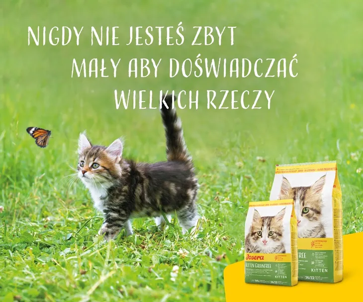 josera-kitten-grainfree-10kg-kod-producenta-4032254754992