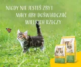 josera-kitten-grainfree-10kg-kod-producenta-4032254754992