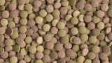 tetra-tablets-tabimin-xl-133-tabletki-typ-przetworzone