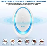 pulapka-przeciwko-muchom-stan-powystawowy