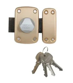 zamek-uniwersalny-z-wkladka-bricard-21951-zloty-40-x-60-x-94-mm