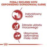 royal-canin-instinctive-gelee-12x85g