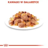 royal-canin-instinctive-gelee-12x85g