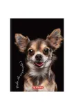 brulion-a6-80-crazy-animals-herlitz