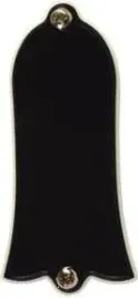 gibson-plytka-trussrod-blank-prtr-010