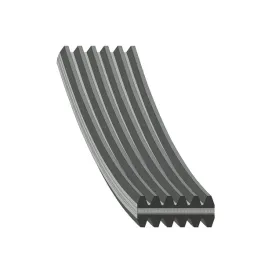 febi-bilstein-40712-pasek-klinowy-wielorowkowy