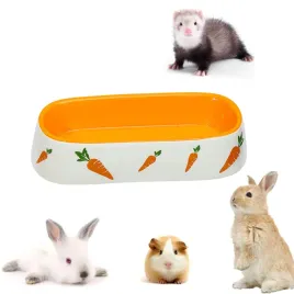 bangminda-ceramiczna-miska-na-karme-dla-malych-zwierzat-19-x-83-cm