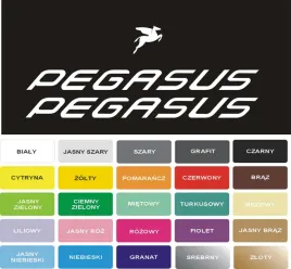 pegasus-naklejki-na-rower-szosowy-gorski-trekkingowy-gravel-mtb-miejski