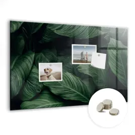 kreatywna-tablica-magnetyczna-magnesy-wymiar-60x40-cm-tropikalna-monstera