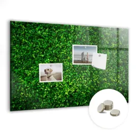 tablica-magnetyczna-suchoscieralna-magnesy-gratis-60x40-cm-zywoplot-liscie