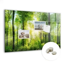 magnetyczny-planer-tablica-suchoscieralna-wymiar-60x40-cm-natura-las-drzewa