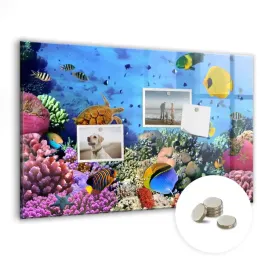 foto-tablica-magnetyczna-suchoscieralna-z-nadrukiem-60x40-cm-podwodne-zycie
