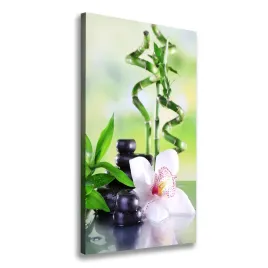 nowoczesny-fotoobraz-canvas-na-ramie-bambus-50x100