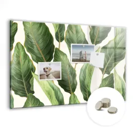 suchoscieralna-tablica-magnetyczna-z-magnesami-wymiar-60x40-cm-liscie-palm