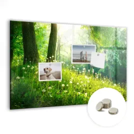 magnetyczny-planer-tablica-suchoscieralna-wymiar-60x40-cm-natura-wiosenna