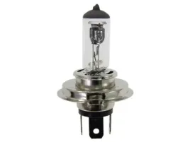 zarowka-vision-h4-12v-60-55w-p43t-filtr-uv-1szt