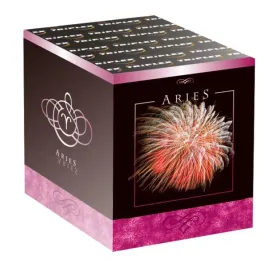 fajerwerki-na-pokaz-weselny-bateria-aries-txb211