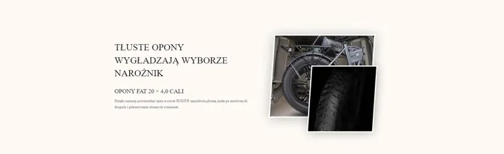 rower-elektryczny-engwe-engine-x-czarny-material-ramy-aluminium