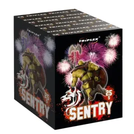 fajerwerki-na-pokaz-weselny-sentry-txb899