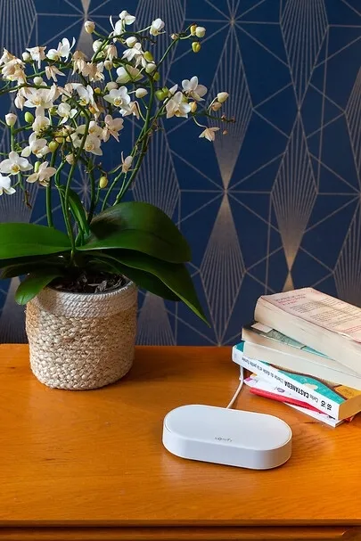 somfy-connectivity-kit-centralka-sterujaca-wifi-rodzaj-inny