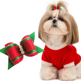 petstory-gumka-gumka-do-wlosow-dla-psa-yorka-maltanczyka