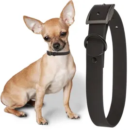 petstory-obroza-regulowana-wodoodporna-dla-psa-kota-pvc-mocna-czarna-19-cm