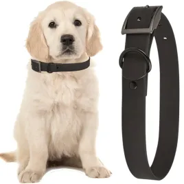 petstory-obroza-psa-kota-na-spacer-wodoodporna-regulowana-mocna-pvc-19-cm
