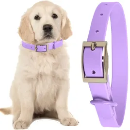 petstory-obroza-psa-kota-na-spacer-wodoodporna-regulowana-mocna-m-19-cm