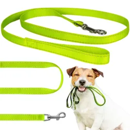 petstory-smycz-odblaskowa-dla-psa-lub-kota-na-spacer-15cm-x-120cm