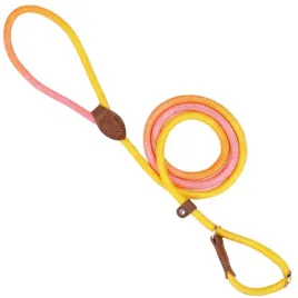petstory-smycz-nylonowa-gradient-1x235-cm-dla-psa-l