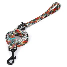 kolorowa-tasma-petstory-smycz-jesien-m-150cm