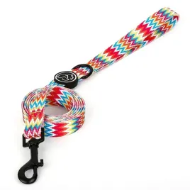 kolorowa-smycz-tasmowa-petstory-lato-m-150cm