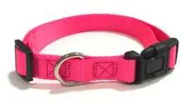 obroza-dla-psa-petstory-xl-40-60cm-rozowa