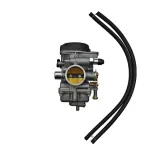 gaznik-atv-bashan-bs250s-5