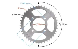 zebatka-tylna-moretti-42-428