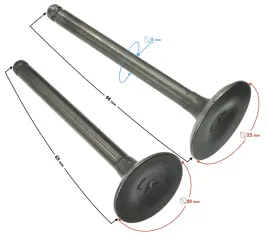 zawory-110cc-do-silnika-bts