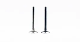 zawor-ssacy-i-wydechowy-70ccm-minichopper