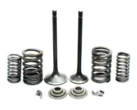 zawory-silnika-uzbrojone-atv-200ccm-kpl