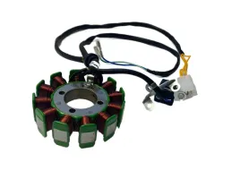 cewki-iskrownika-stator-12-zwojowe-cb200-250cc-cg200-250-zs-169fmm-5-kabl