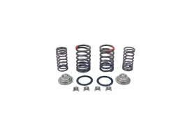 sprezyny-zaworow-uzbrojone-kpl-4t-139qmb-zestaw