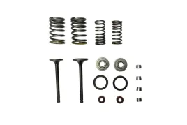 zawory-silnika-uzbrojone-70ccm-los-king