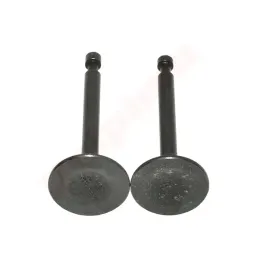 zawor-honda-gx160-black-14711-zf1-000-14721-zf1-000