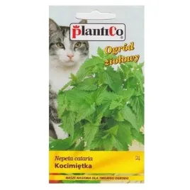 kocimietka-miododajna-przyciaga-motyle-nasiona-05-g