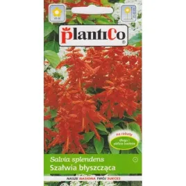 szalwia-blyszczaca-czerwona-nasiona-05-g-plantico