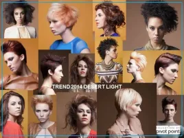 ksiazka-pivot-point-trend-collection-desert-light