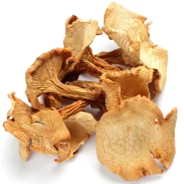 kurka-suszona-pieprznik-jadalny-suszony-100g-cala-atest