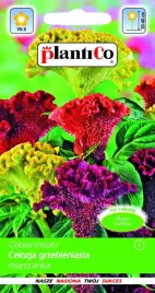 celozja-grzebieniasta-mix-nasiona-plantico-0-3g